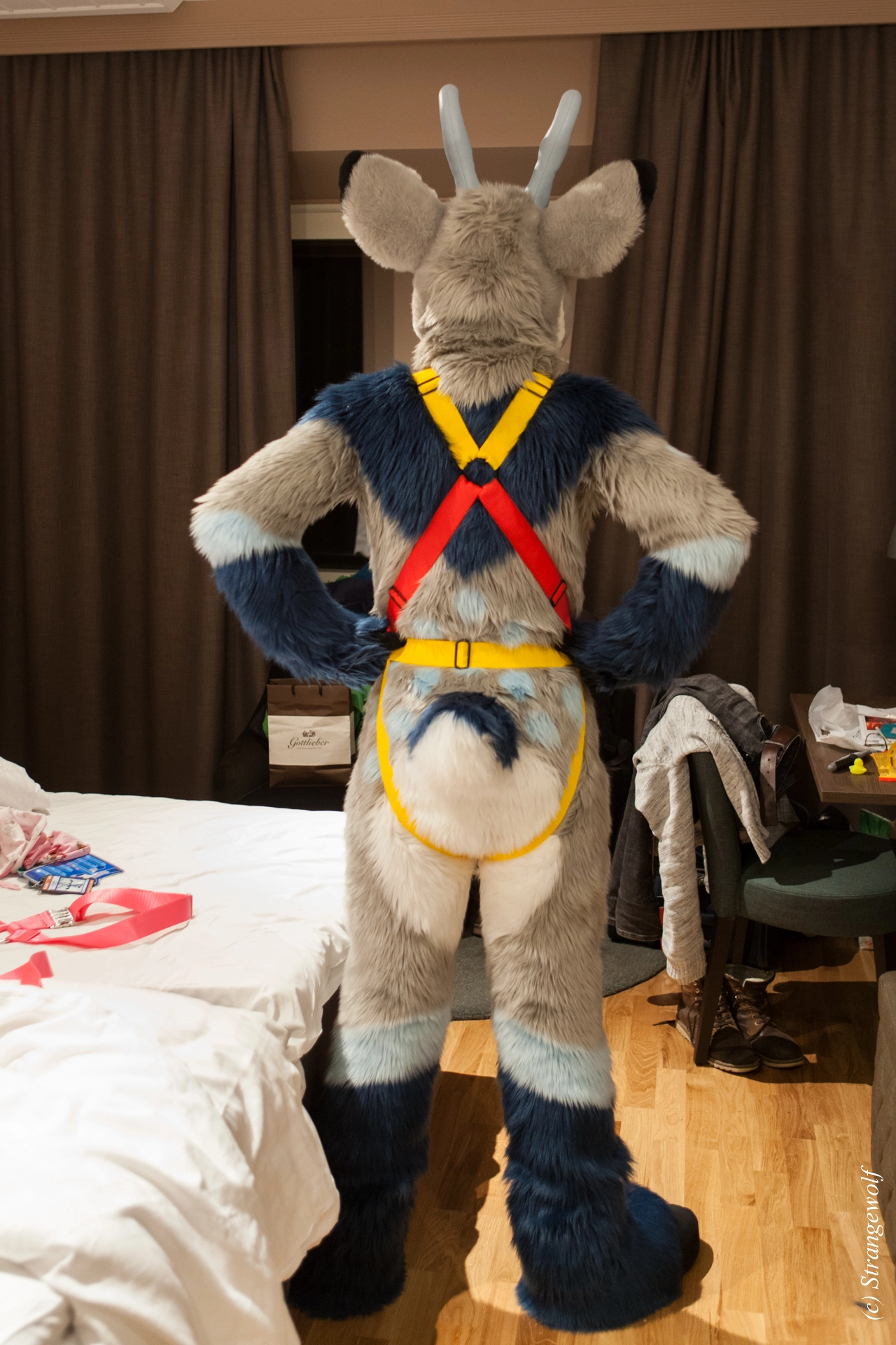 full image IMG_9322-lr19t.jpg