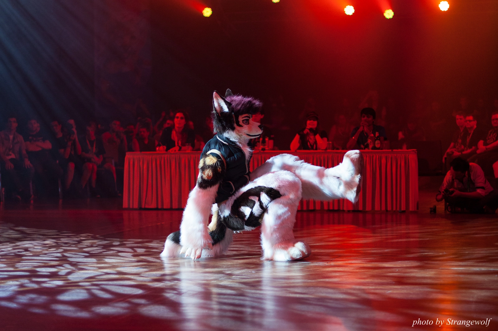 full image IMG_9486-lr16t.jpg