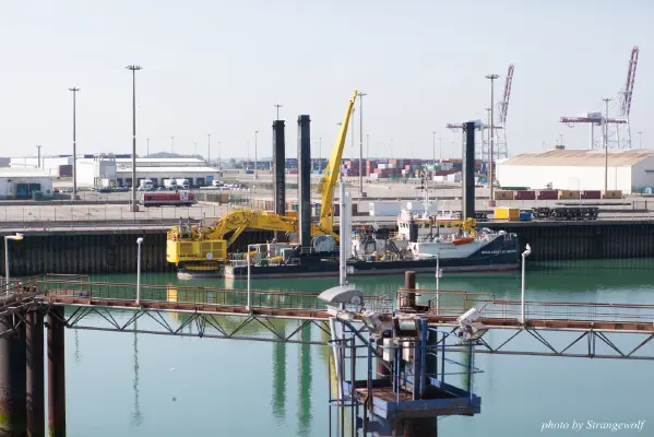 IMG_7113-lr16t.jpg of CFZ/CFZ2016/