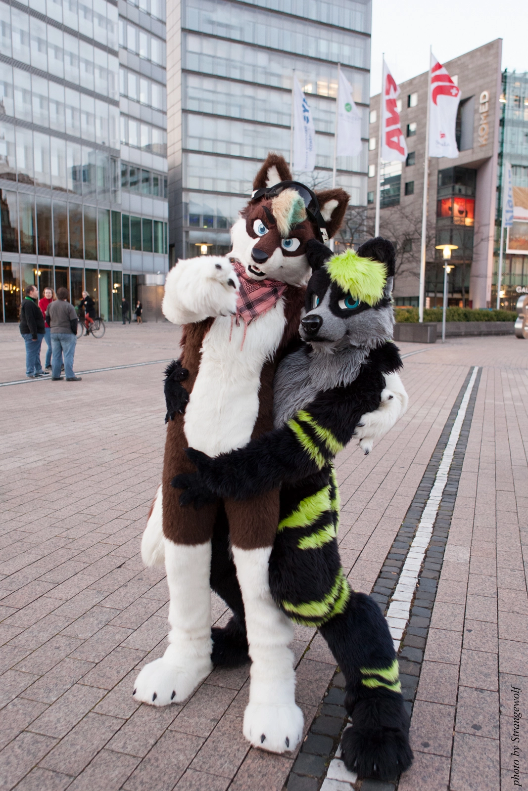 full image IMG_5392-lr16t.jpg