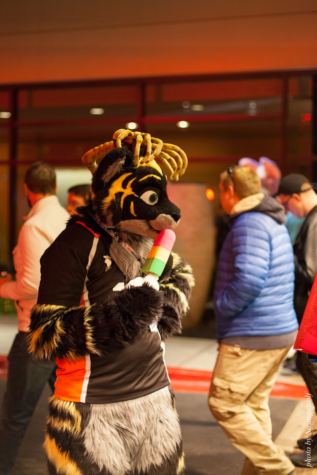 full image IMG_0790-lr16t.jpg