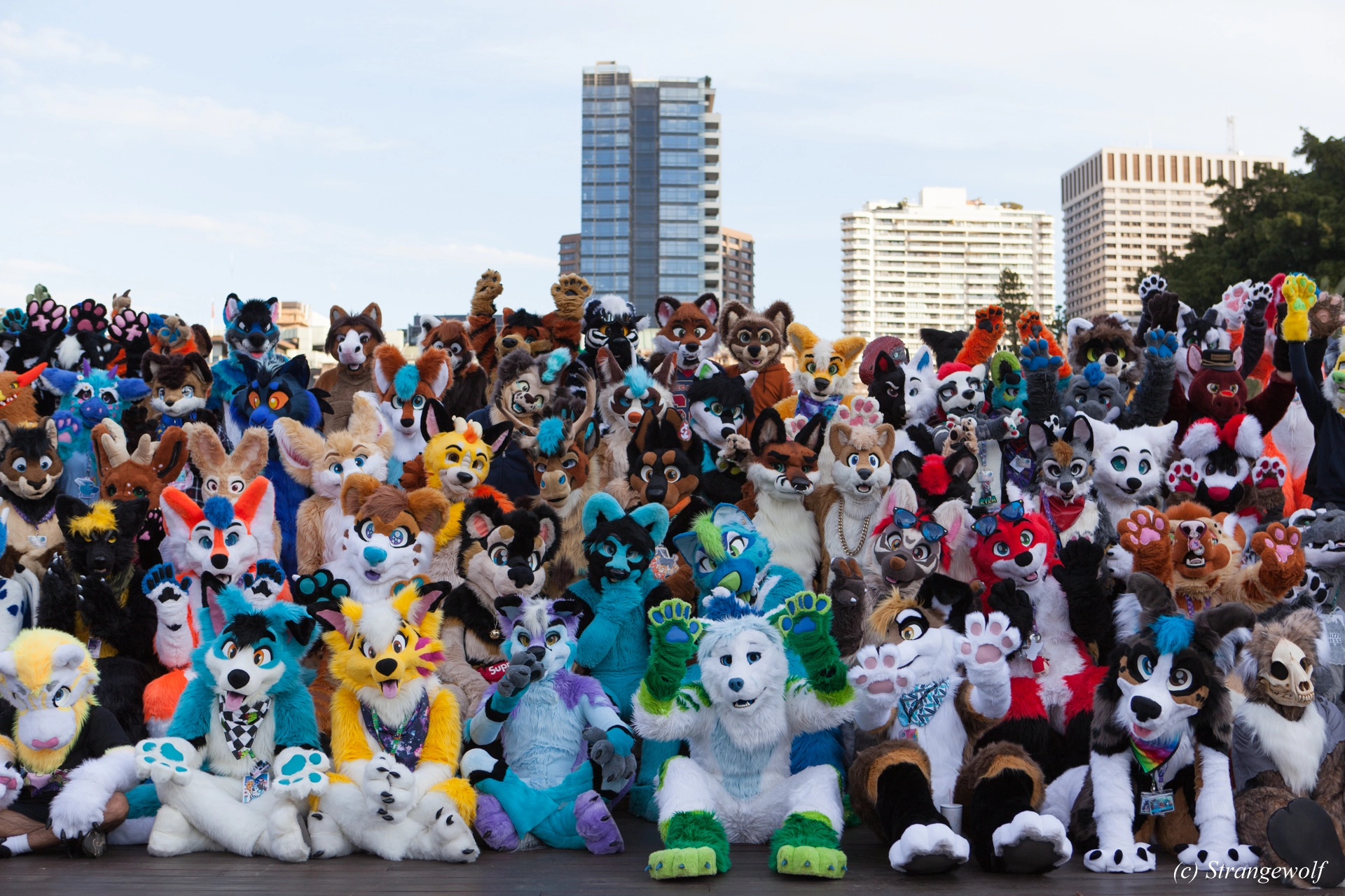 full image IMG_4624-lr19t.jpg