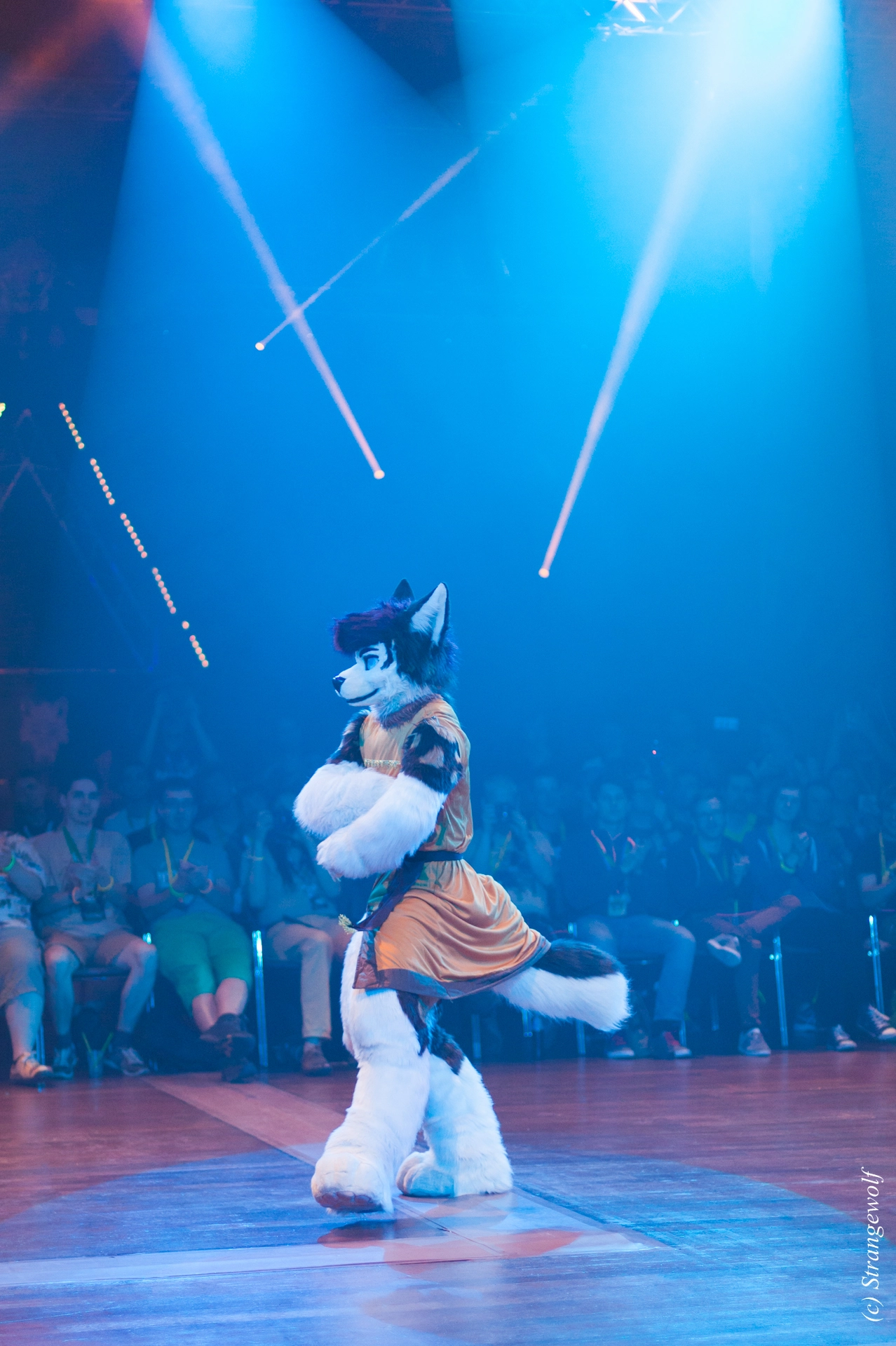 full image IMG_6452-lr19t.jpg