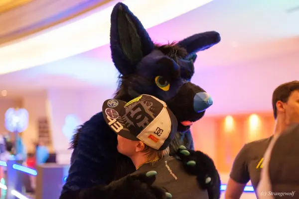 IMG_2012-lr19t.jpg of FWA/FWA2018/