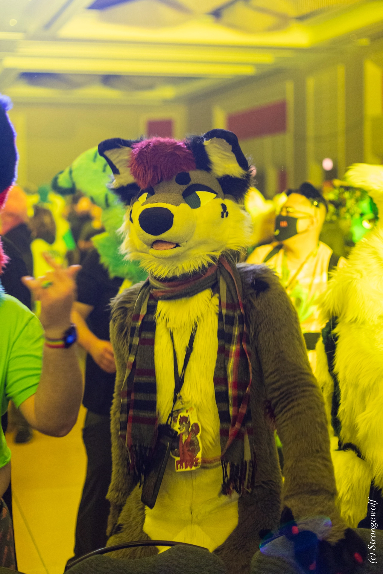 full image 1R3A0453-lr19t.jpg