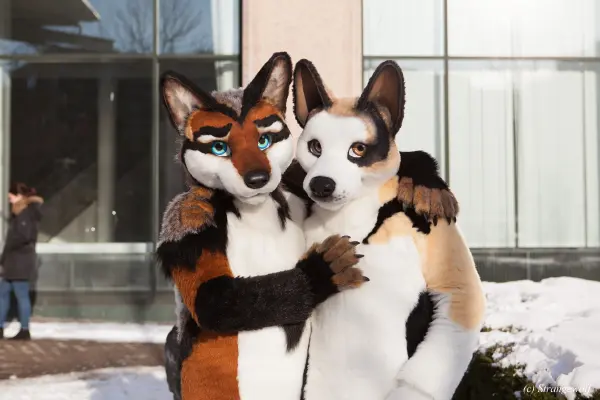 IMG_0012-lr19t.jpg of NFC/NFC2018/