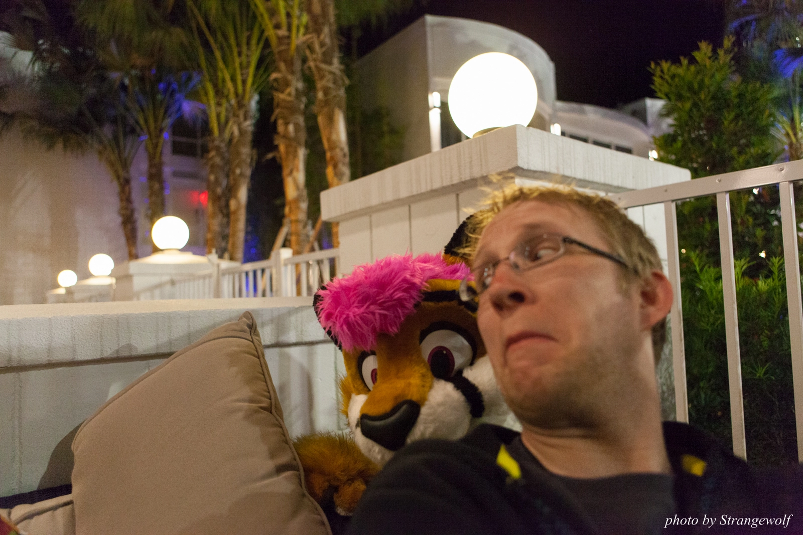 full image IMG_8068-lr16t.jpg