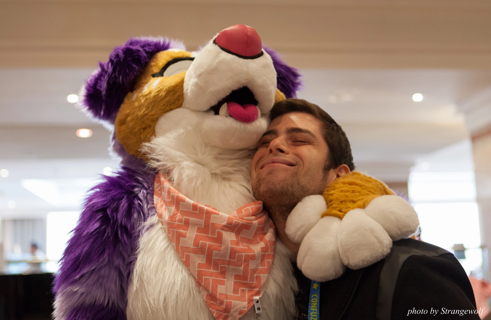 full image IMG_7470-lr16t.jpg