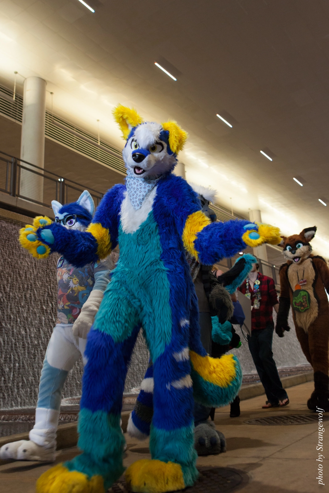 full image IMG_8266-lr16t.jpg