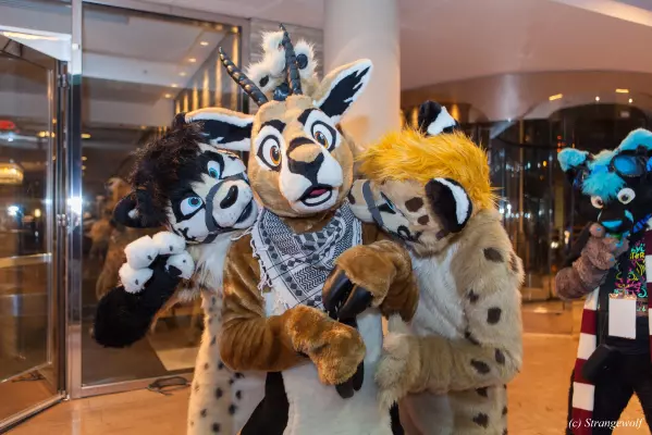 IMG_7028-lr.jpg of MFF/MFF2018/