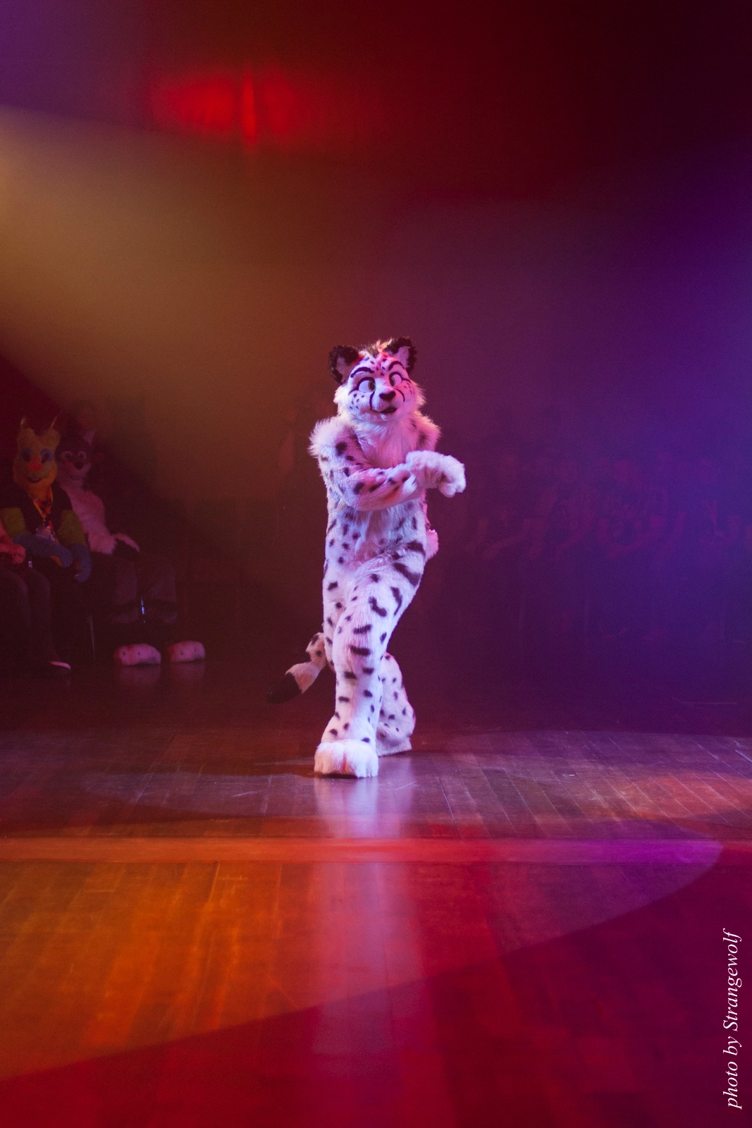 full image IMG_2546-lr16t.jpg