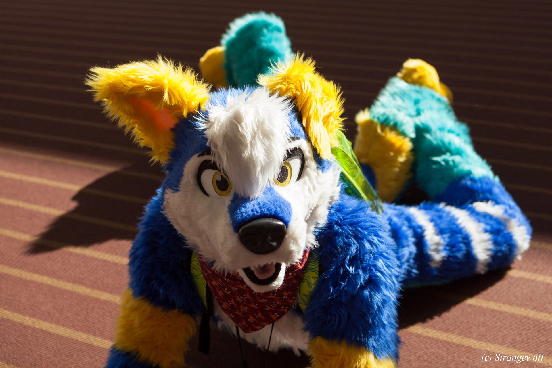 full image IMG_4385-lr19t.jpg