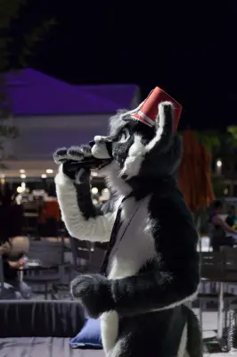 IMG_8563-lr16t.jpg of ESG/ESG2015/