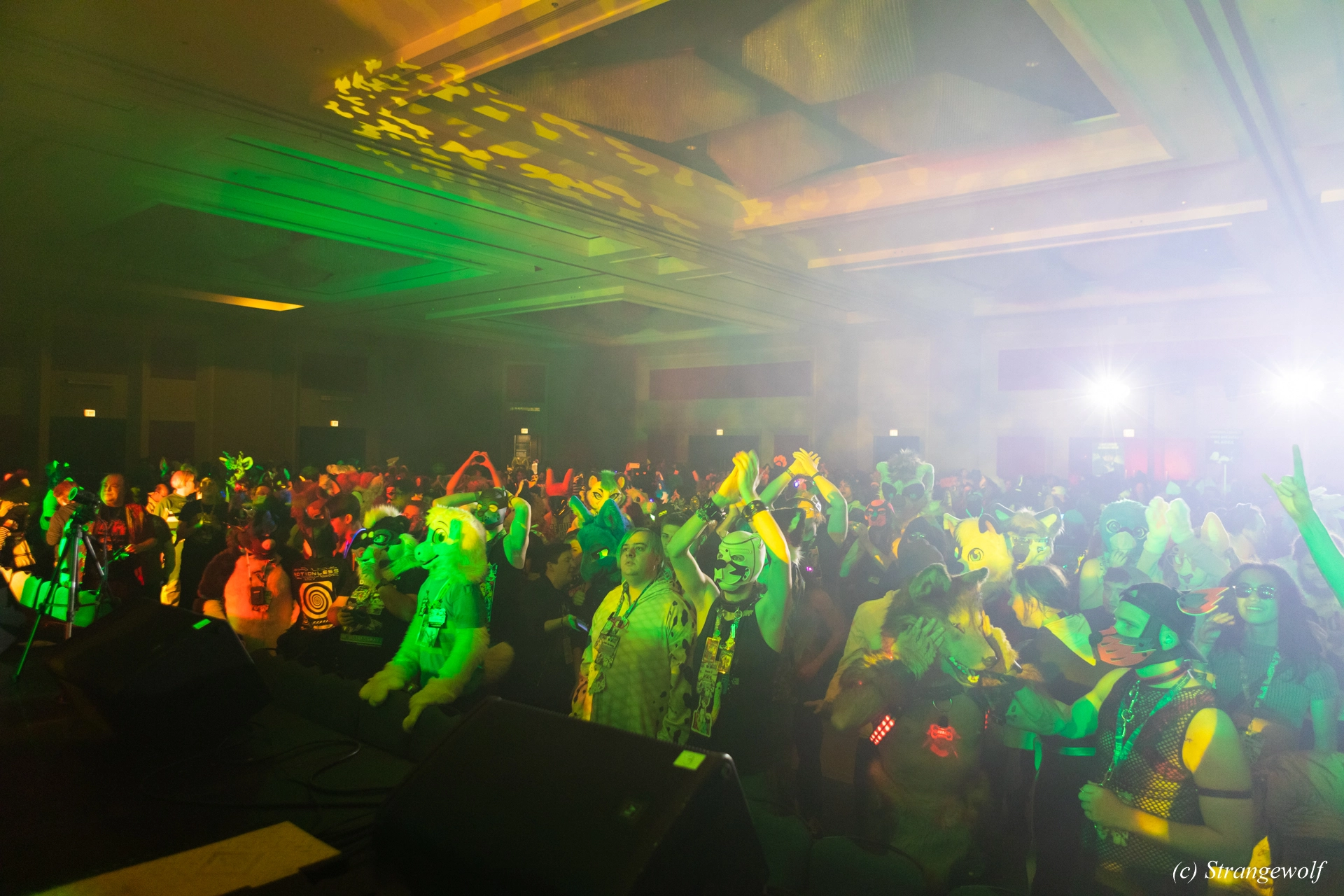 full image 1R3A4858-lr19t.jpg