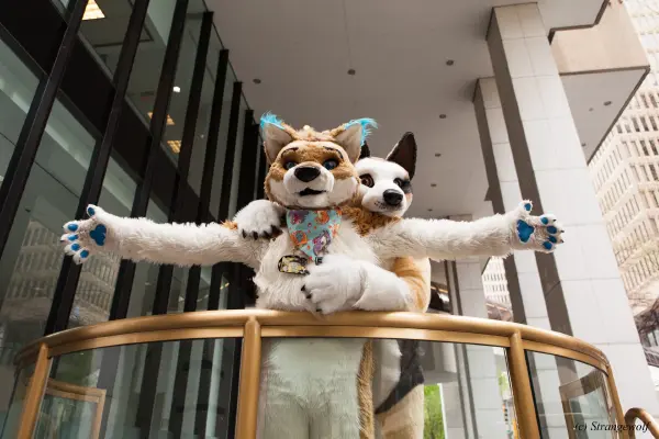 IMG_1714-lr19t.jpg of FWA/FWA2018/