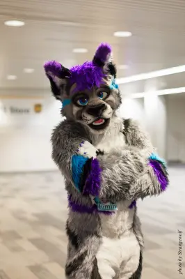 IMG_1133-lr16t.jpg of FC/FC2017/