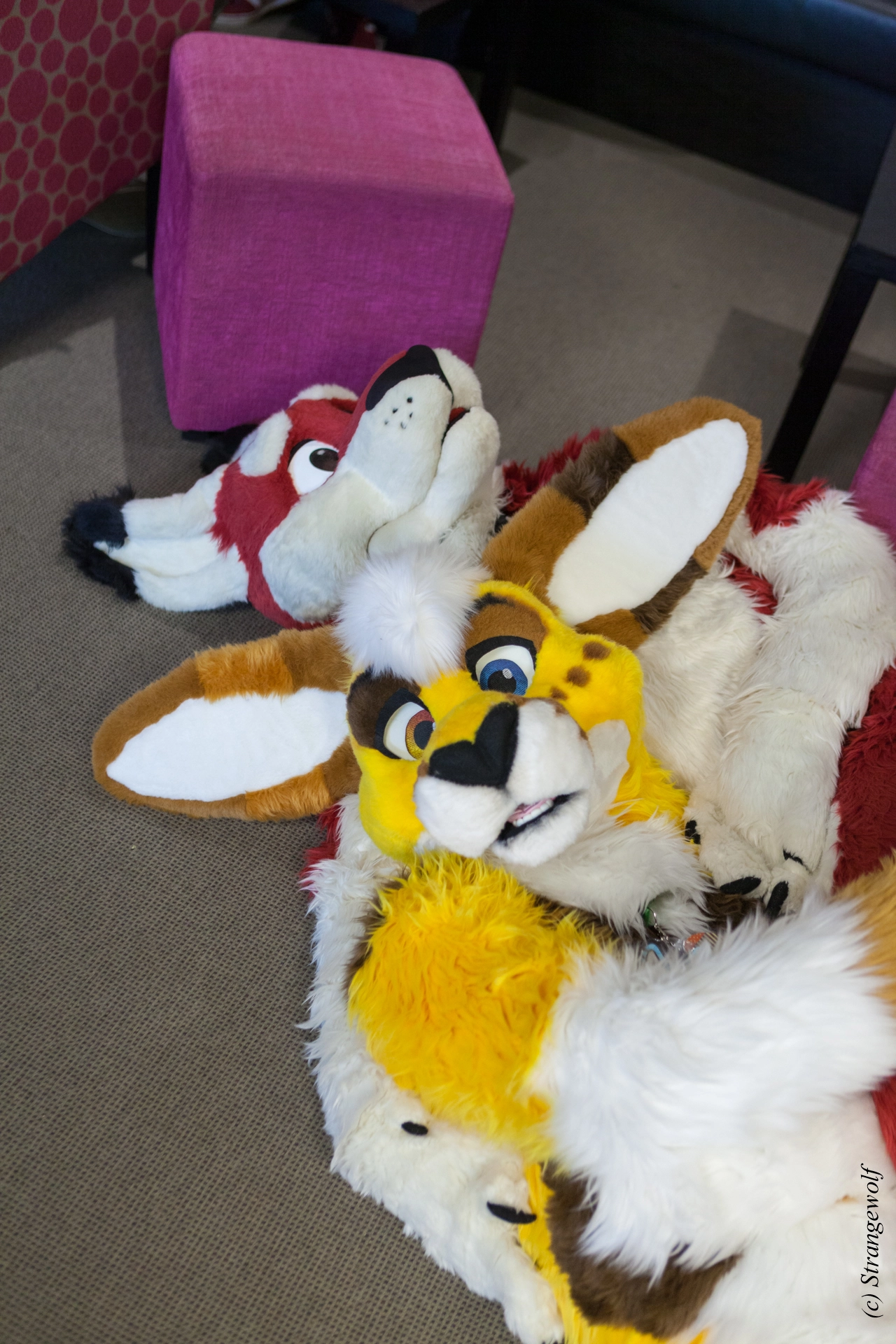 full image IMG_7126-lr19t.jpg