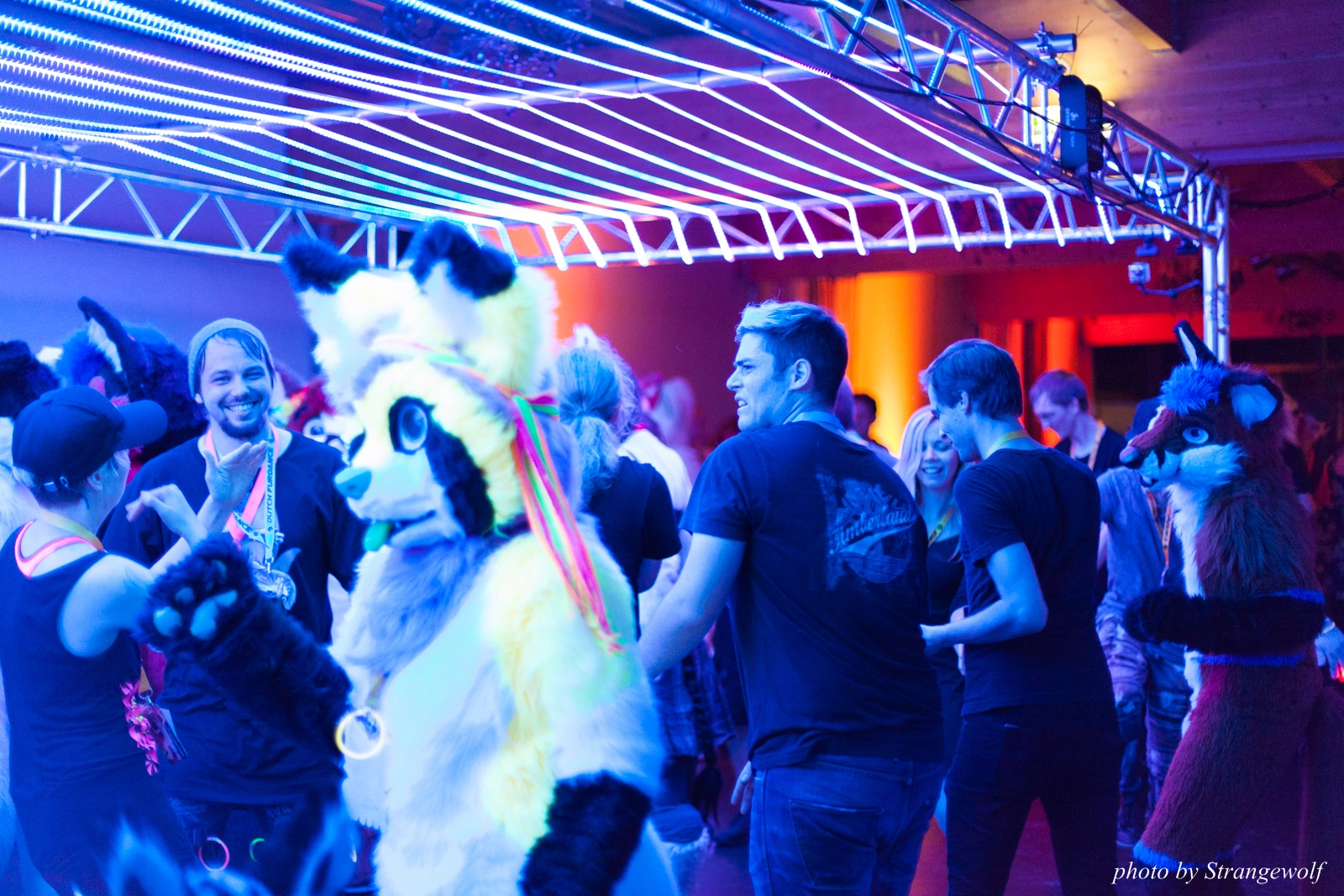 full image IMG_5430-lr16t.jpg