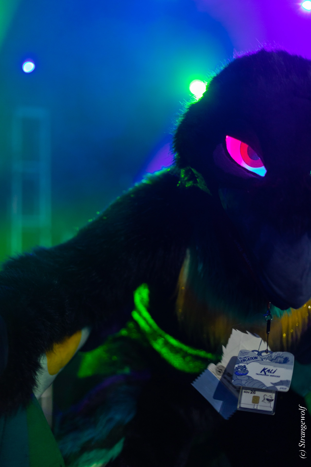 full image 1R3A0582-lr19t.jpg