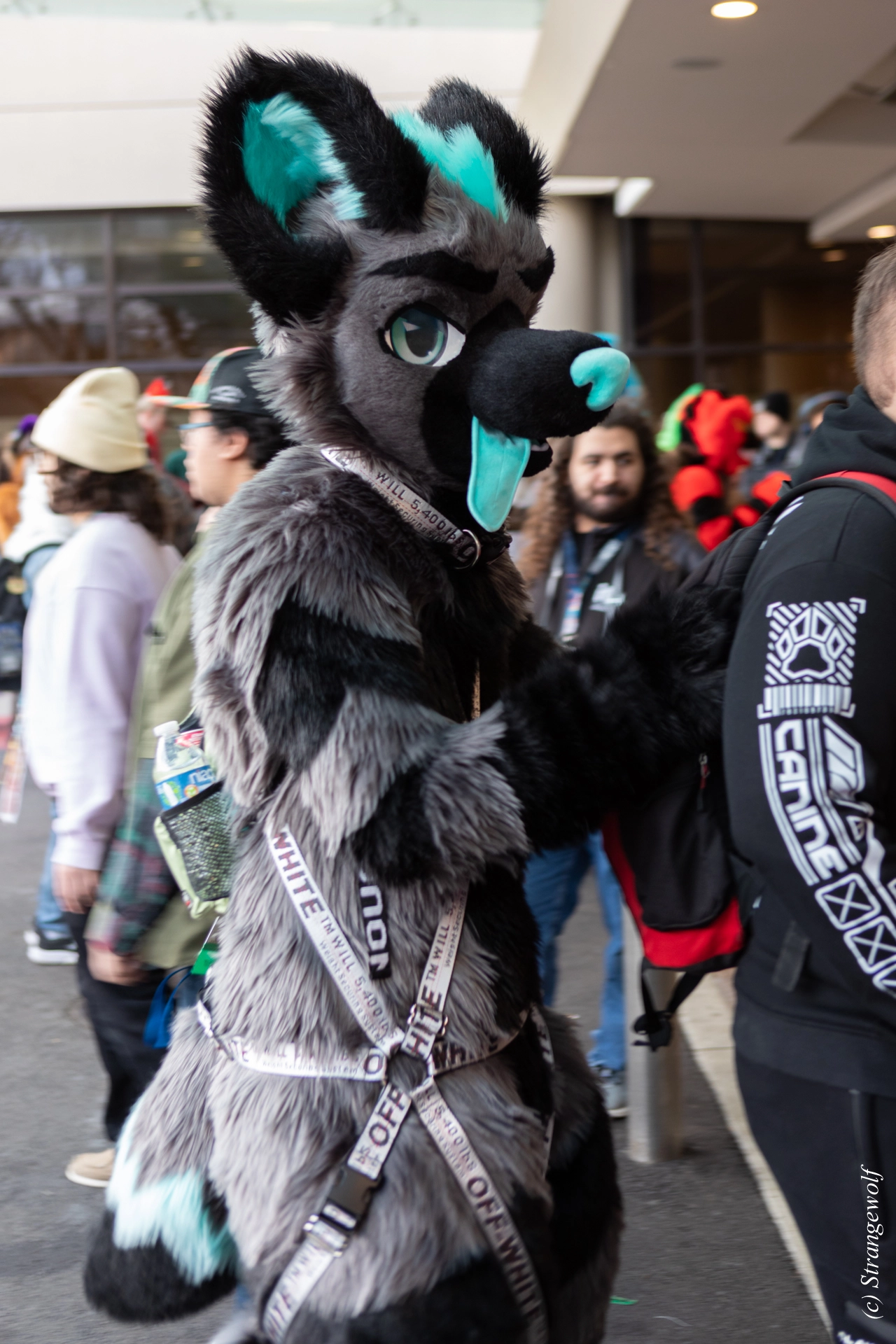 full image 1R3A6122-lr19t.jpg