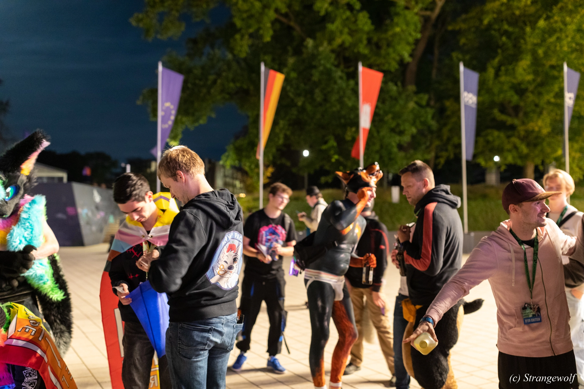 full image 1R3A9545-lr19t.jpg