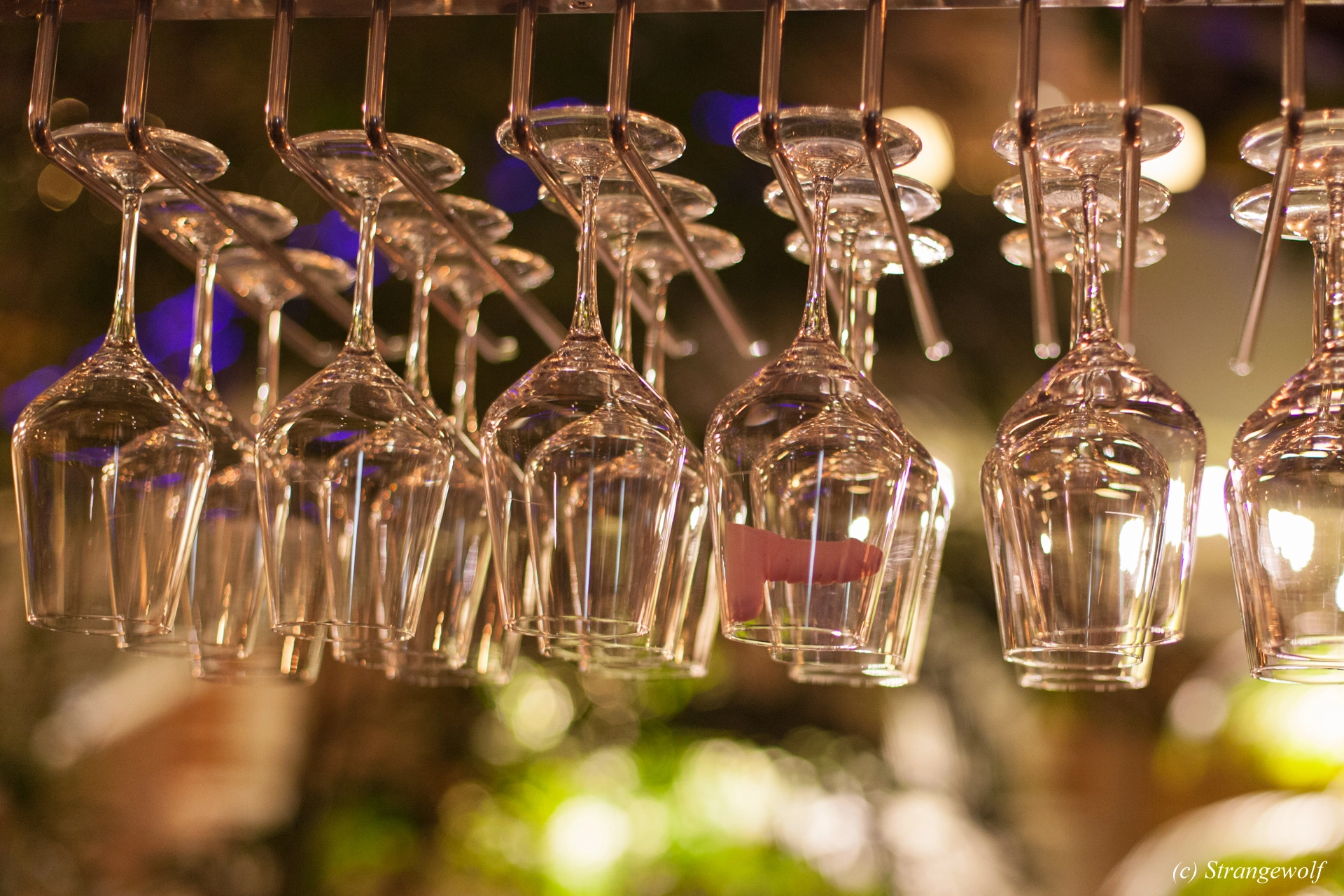 full image IMG_9806-lr19t.jpg