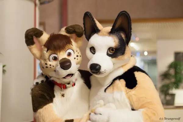 IMG_0894-lr19t.jpg of NFC/NFC2018/