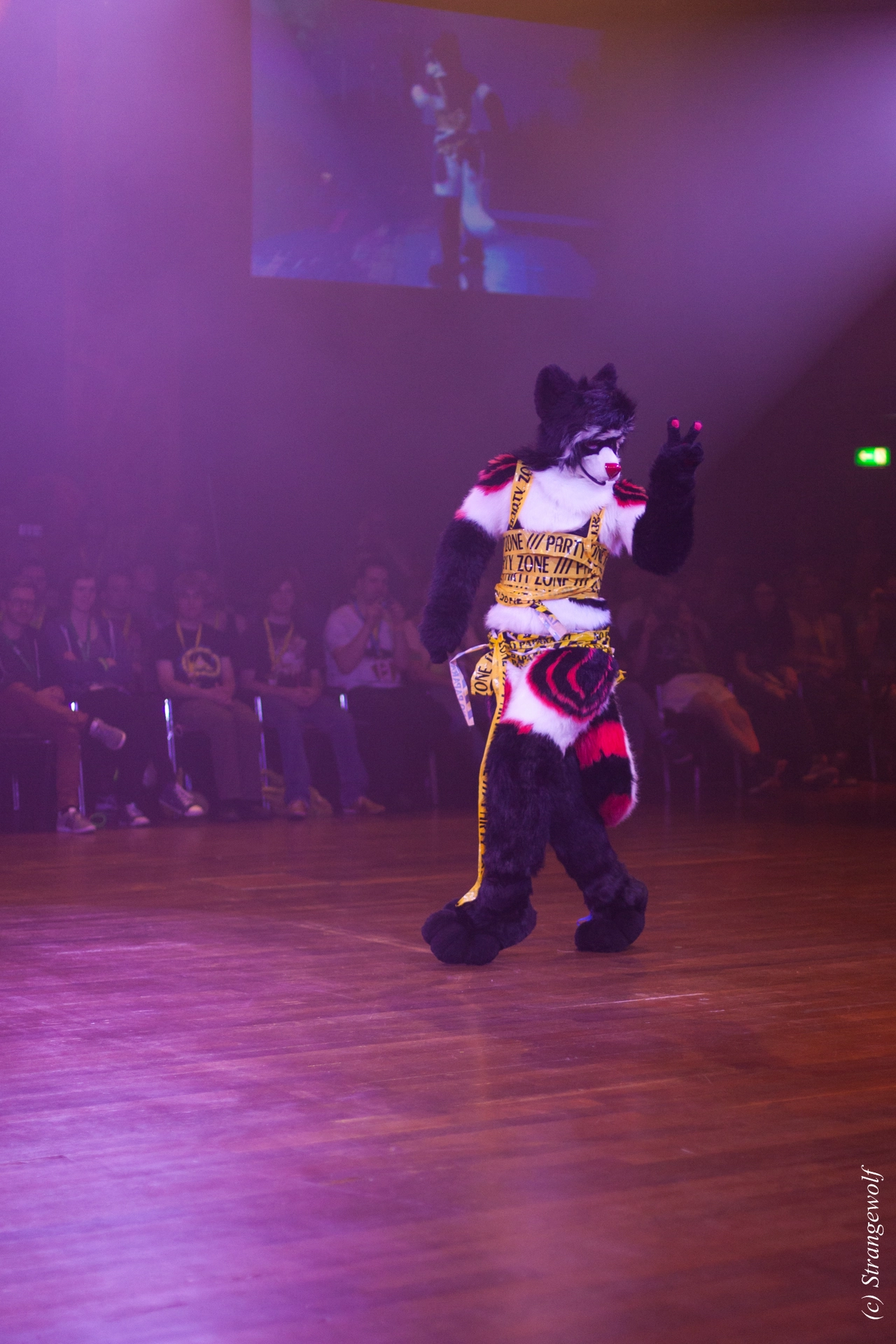 full image IMG_6595-lr19t.jpg