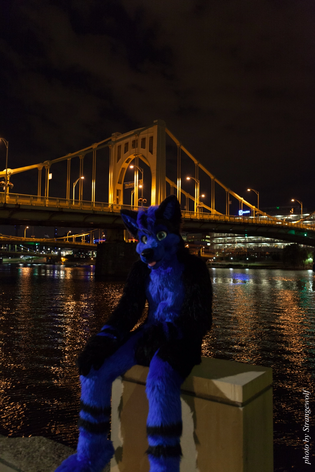 full image IMG_8526-lr16t.jpg