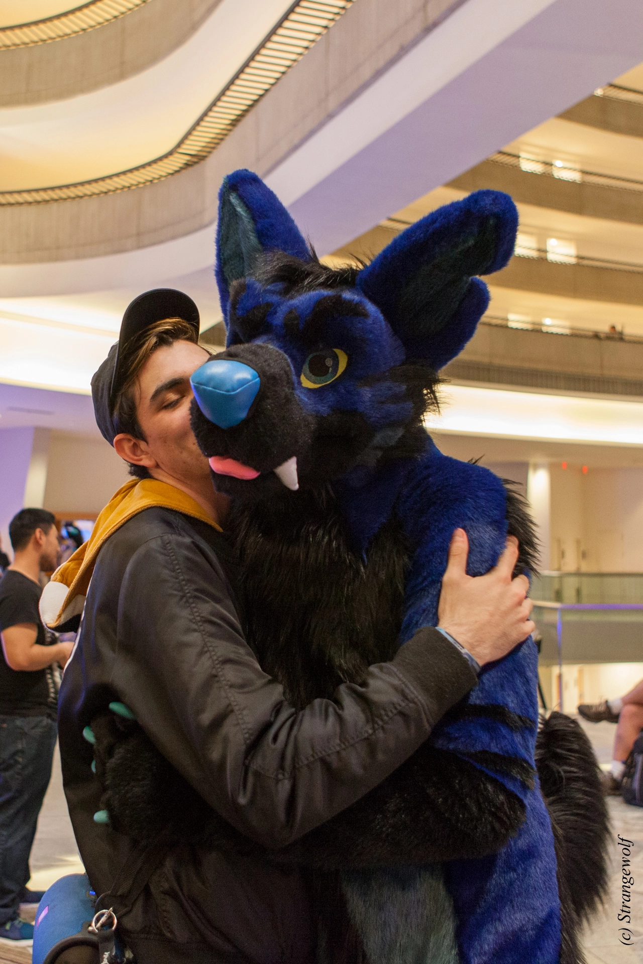 full image IMG_1534-lr19t.jpg