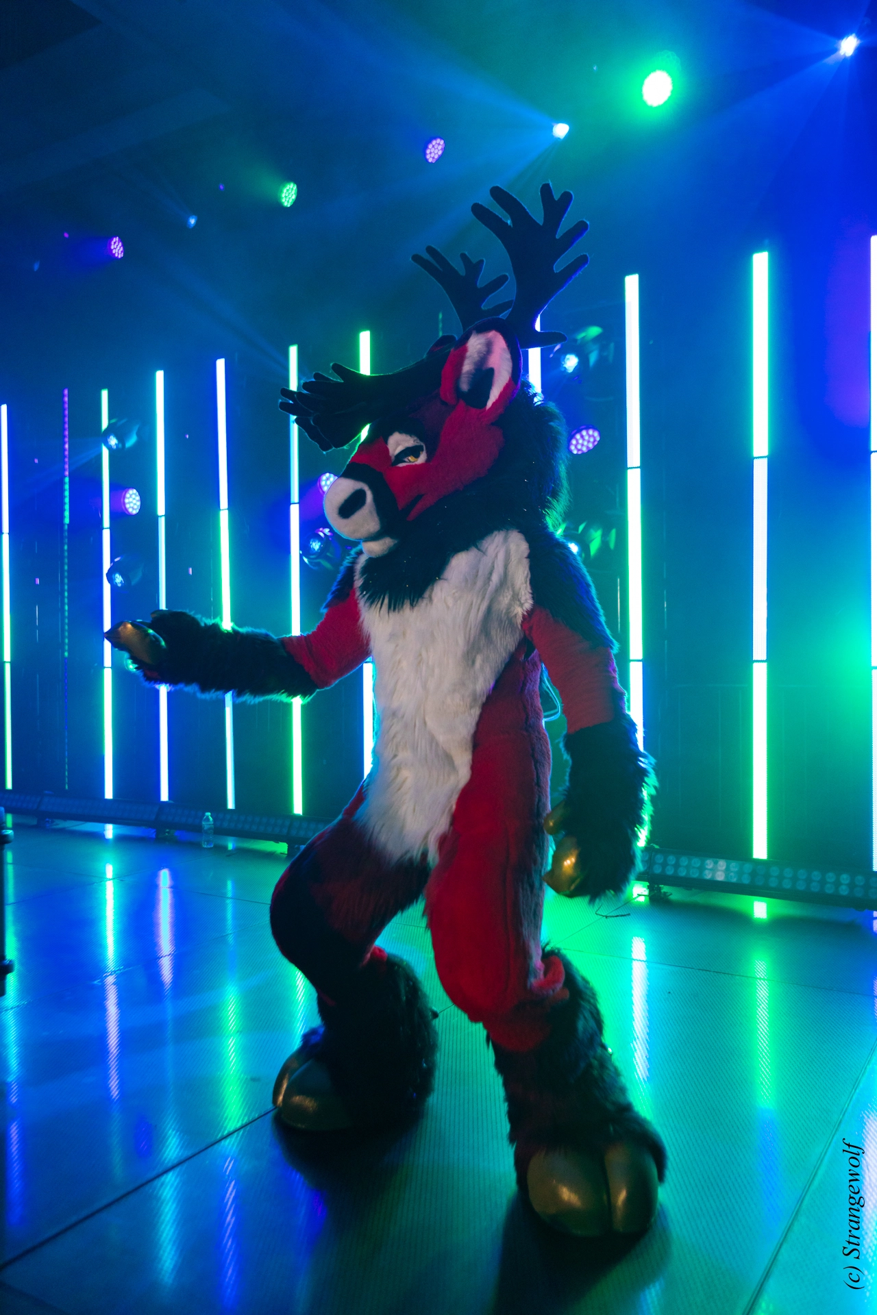 full image 1R3A5094-lr19t.jpg