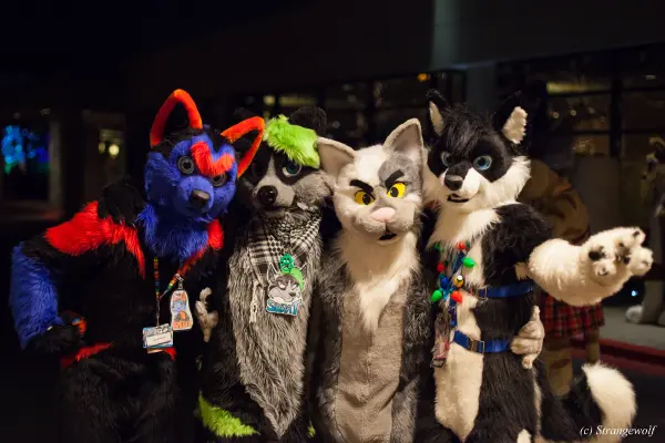 IMG_6575-lr19t.jpg of MFF/MFF2015/