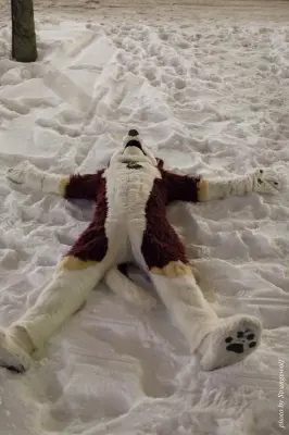 IMG_9383-lr19t.jpg of NFC/NFC2018/