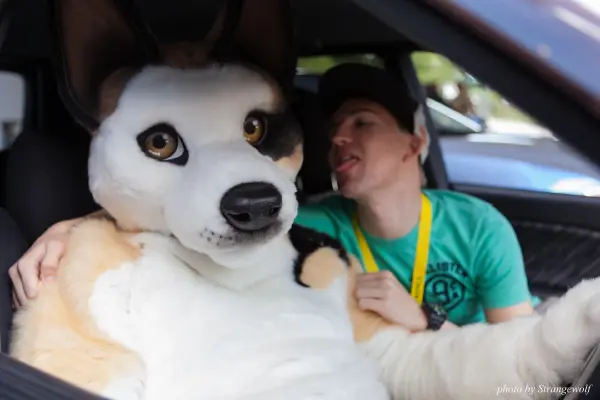 IMG_6856-lr19t.jpg of EF/EF23/MotorFurs/