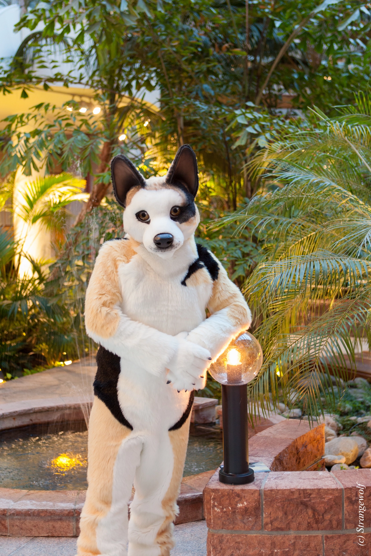 full image IMG_8899-lr19t.jpg