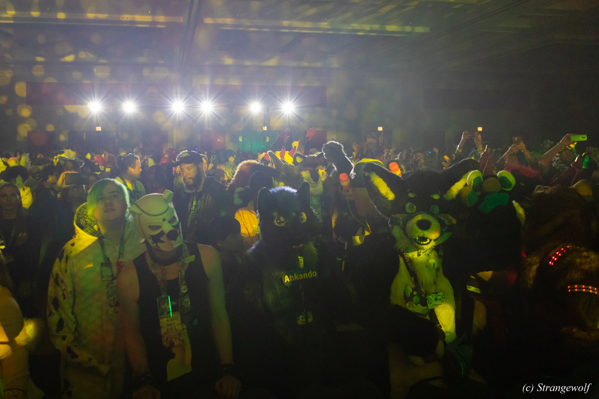 full image 1R3A4668-lr19t.jpg