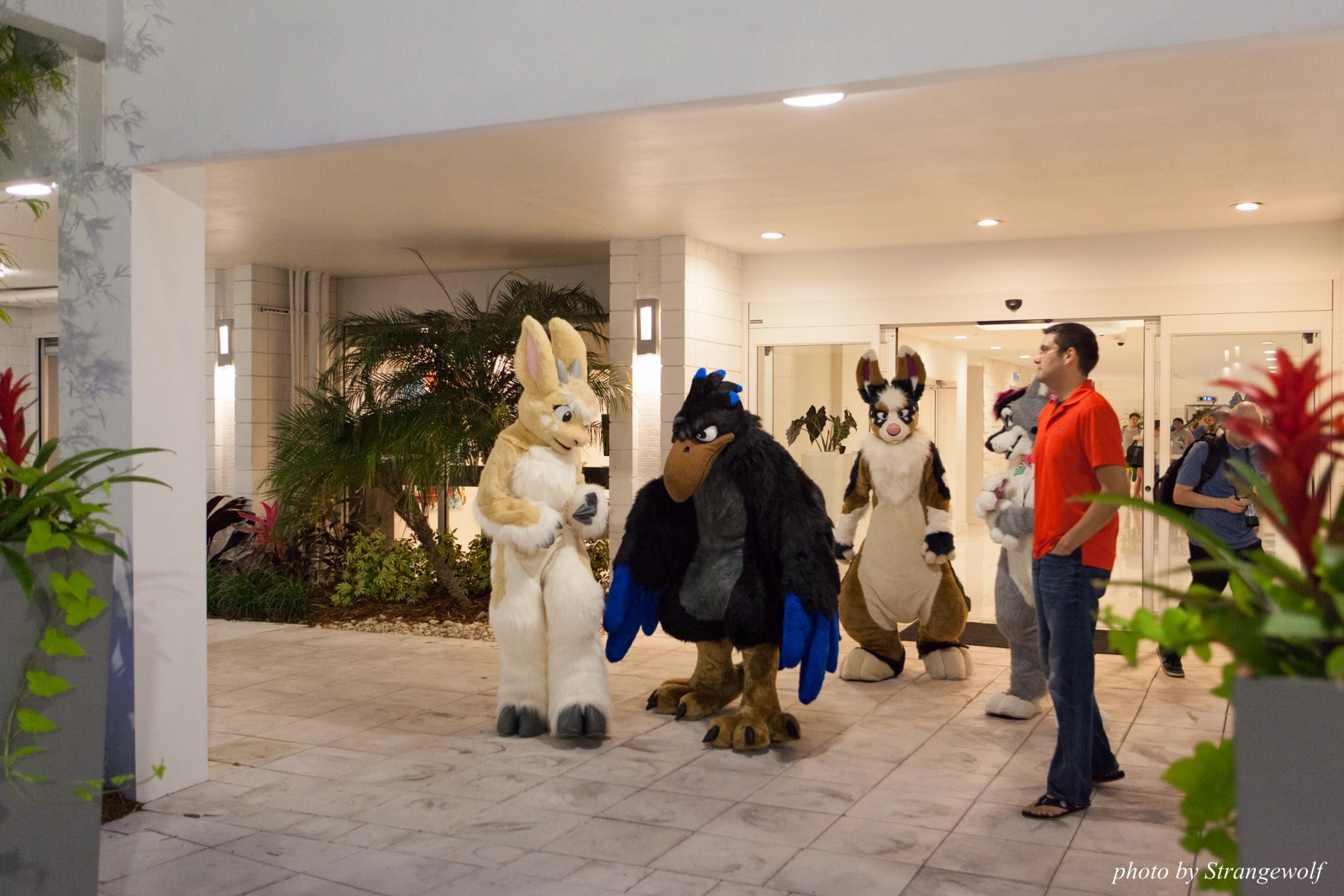 full image IMG_8433-lr16t.jpg