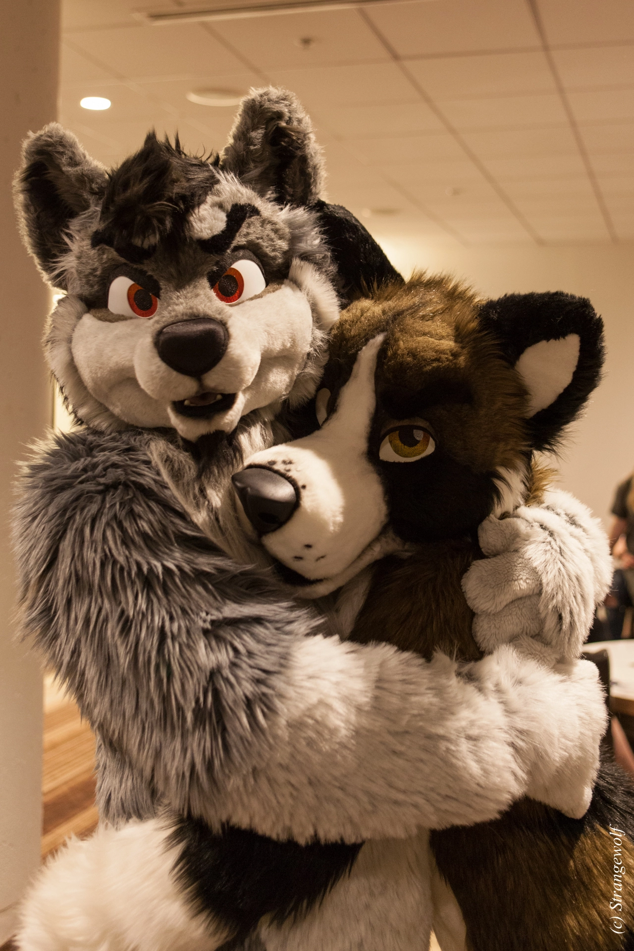 full image IMG_1286-lr19t.jpg