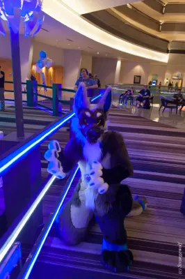 IMG_1326-lr19t.jpg of FWA/FWA2018/