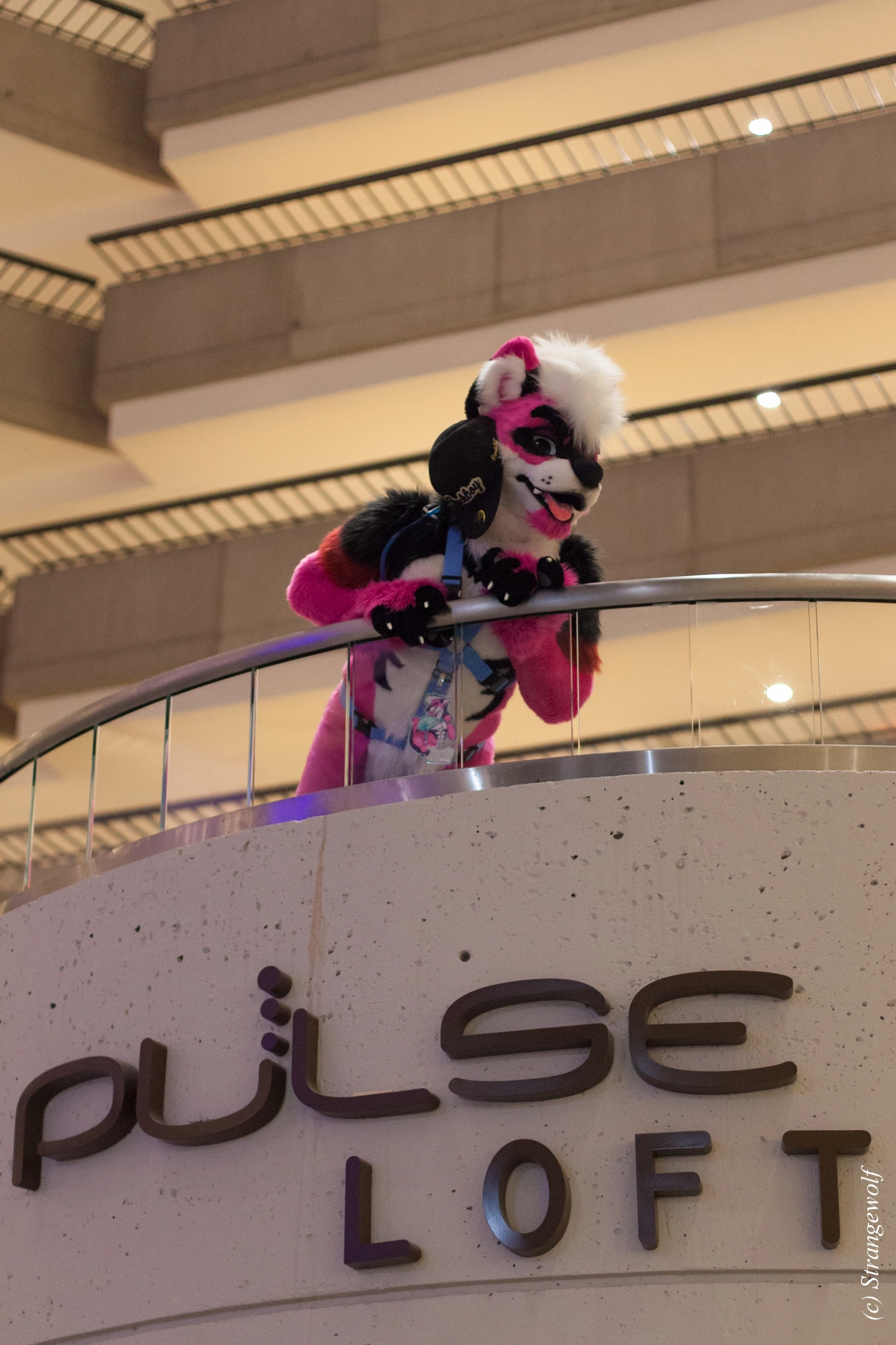 full image IMG_1376-lr19t.jpg