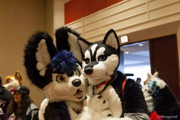 IMG_8373-lr19t.jpg of MFF/MFF2017/
