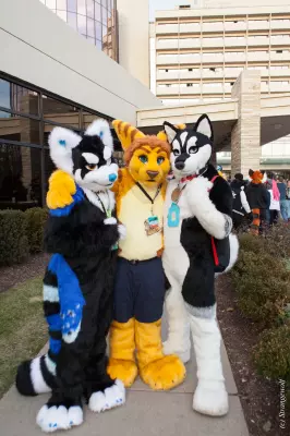IMG_8409-lr19t.jpg of MFF/MFF2017/
