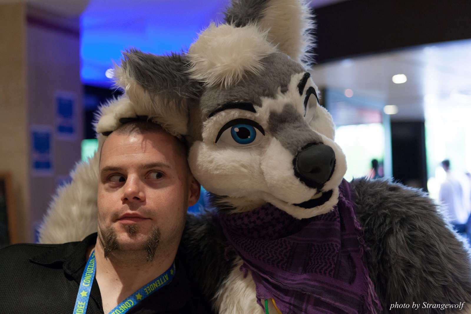 full image IMG_7175-lr16t.jpg