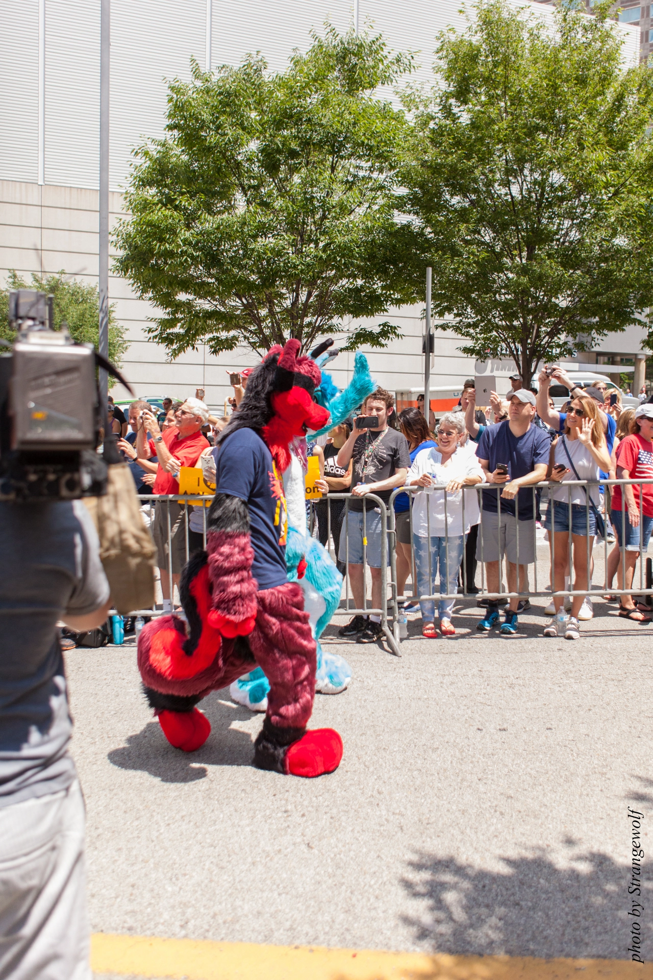 full image IMG_4404-lr19t.jpg