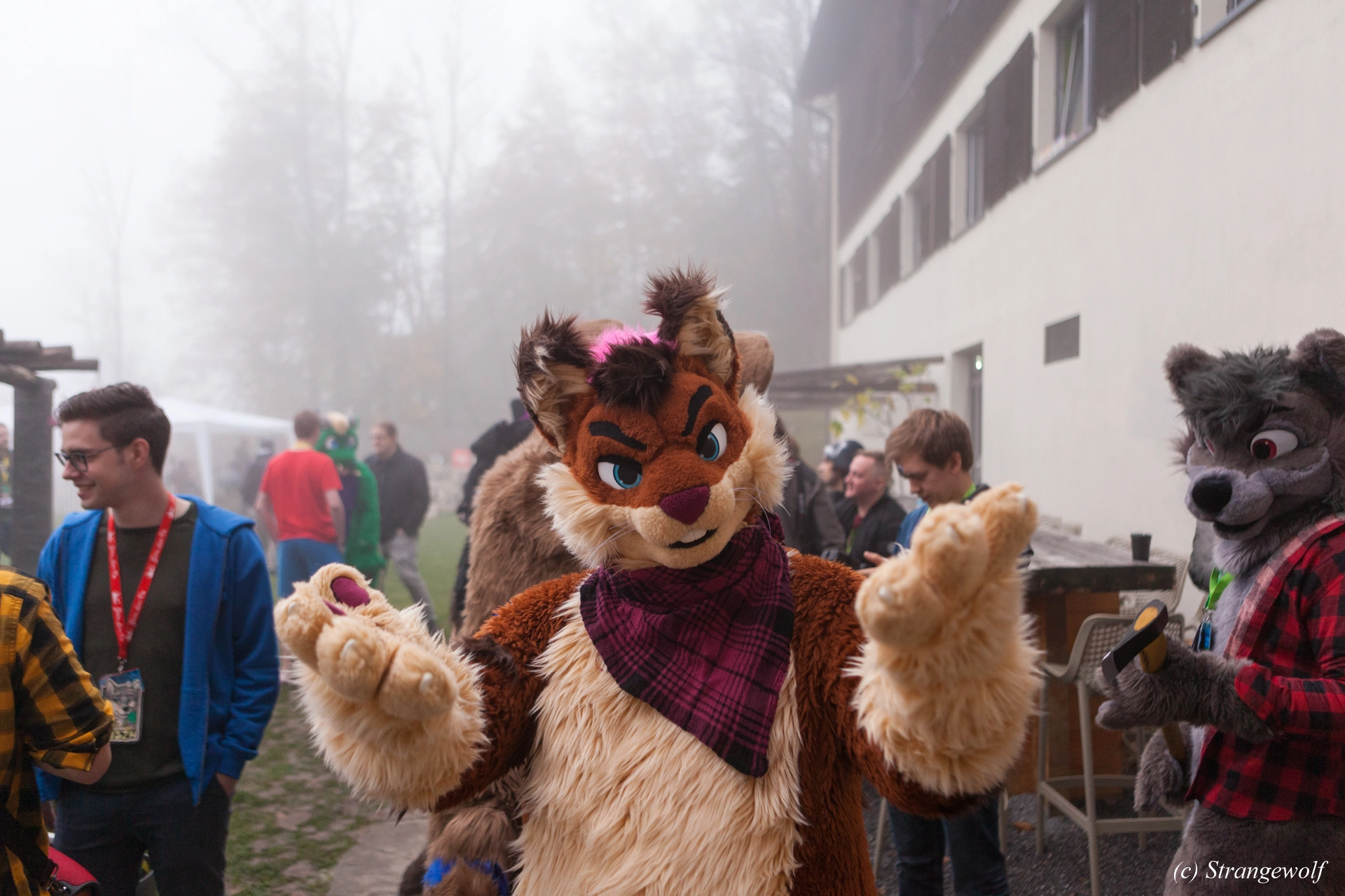 full image IMG_7000-lr19t.jpg