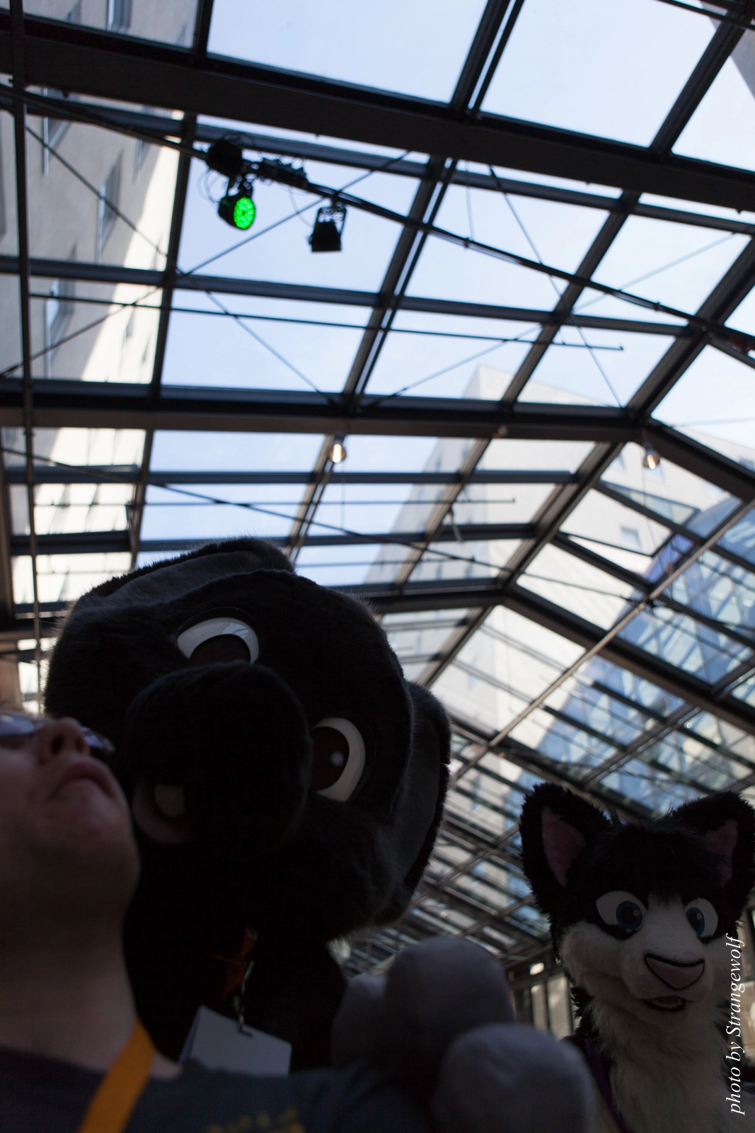 full image IMG_1833-lr16t.jpg