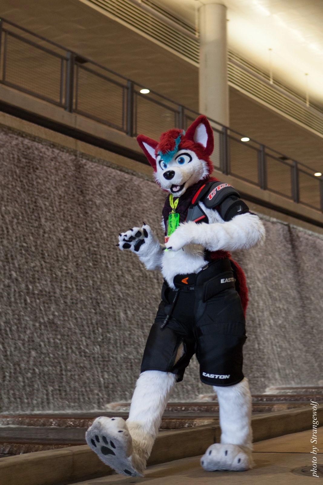 full image IMG_8259-lr16t.jpg