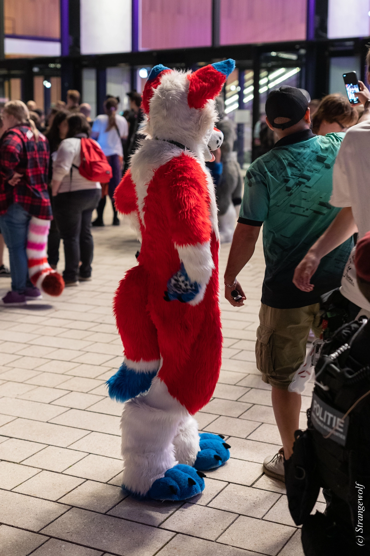 full image 1R3A9485-lr19t.jpg