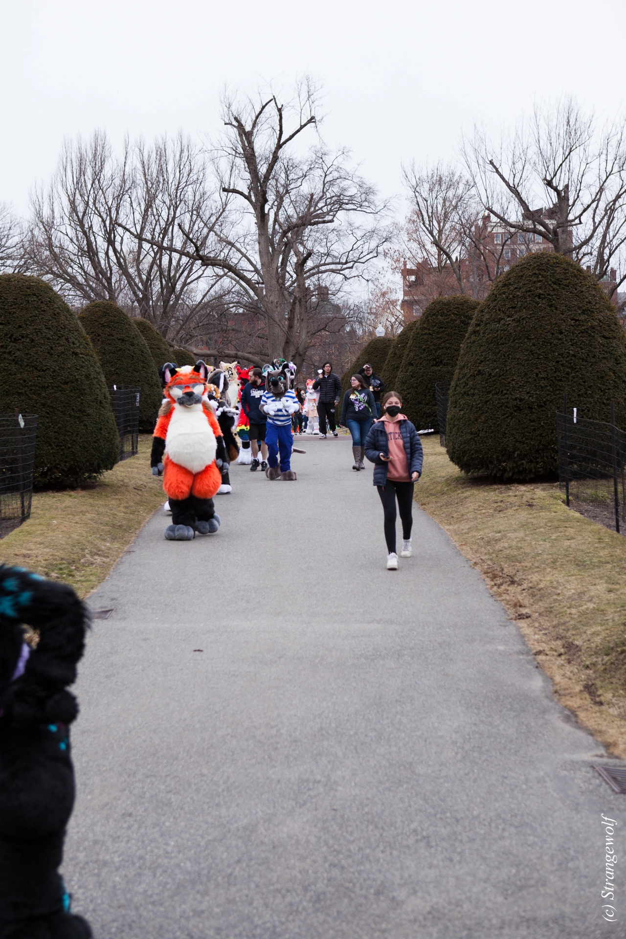 full image IMG_3136-lr19t.jpg