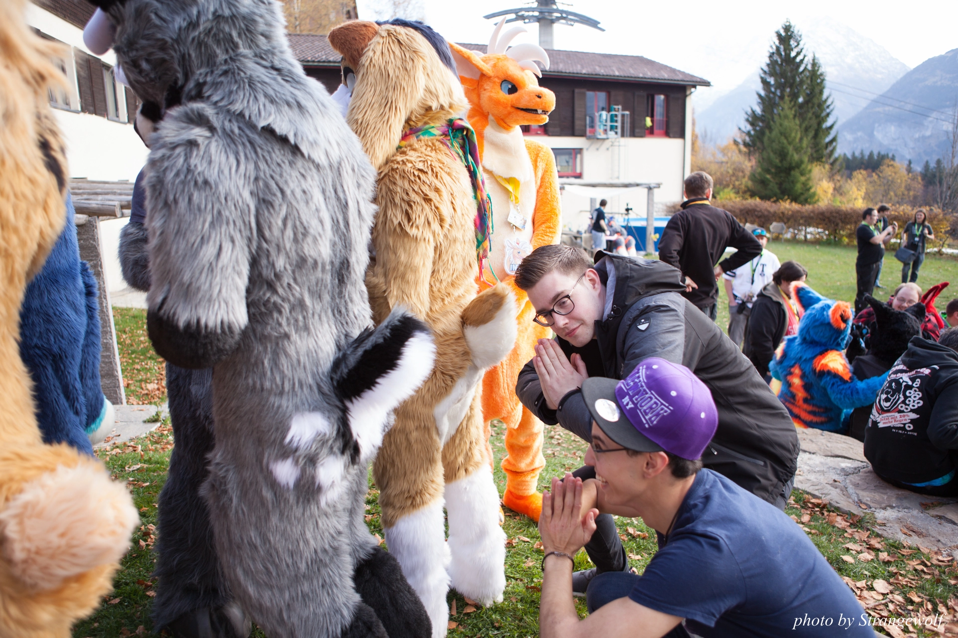 full image IMG_7890-lr19t.jpg